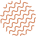 shape5